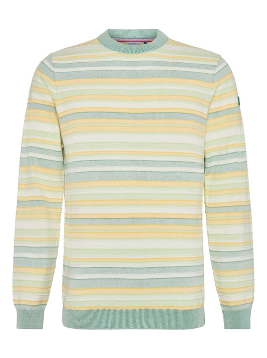 A Fish Named Fred Striped Pullover Sweater in Light Green